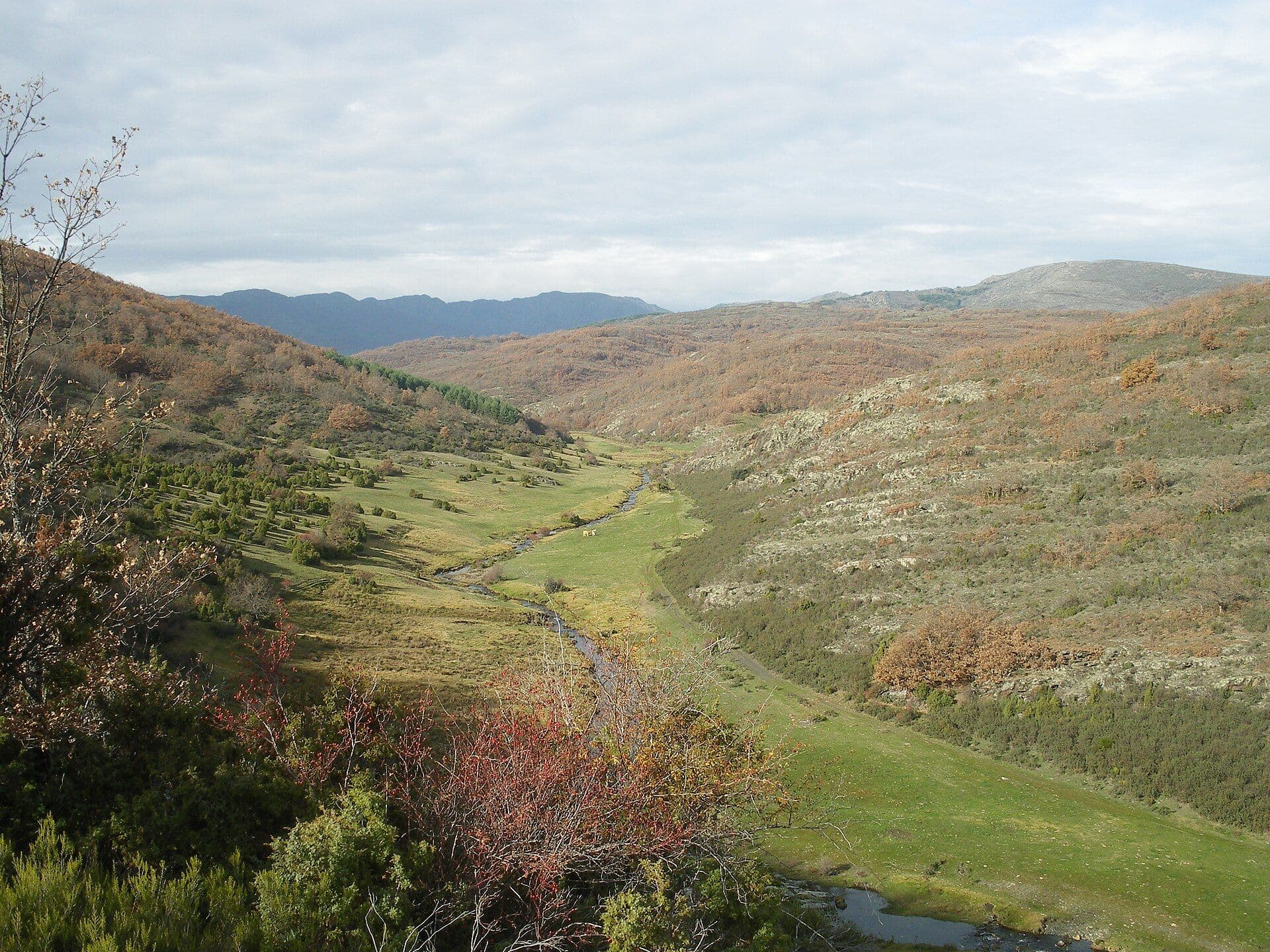 Valle del Hayedo de Tejera Negra en otoño